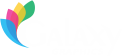 cropped galaxy logo white.png