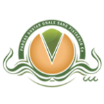 logo 17.png
